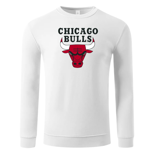 Chicago Bulls Duks